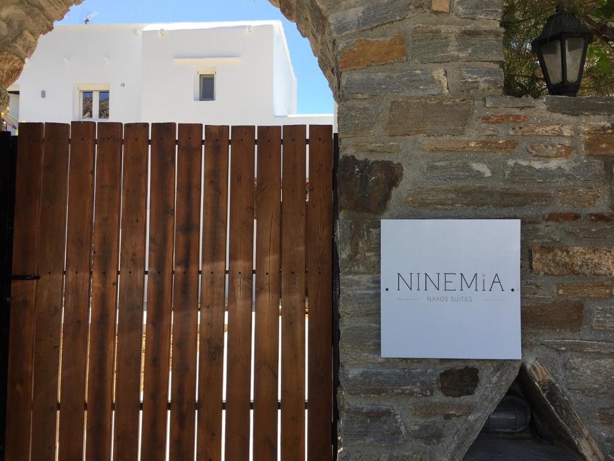 Ninemia Naxos Suites Agios Thaleleos Buitenkant foto